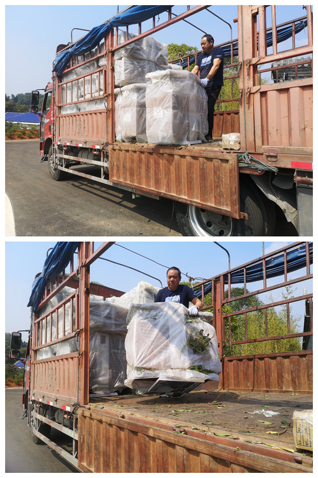 湖南垃圾桶 湖南垃圾桶