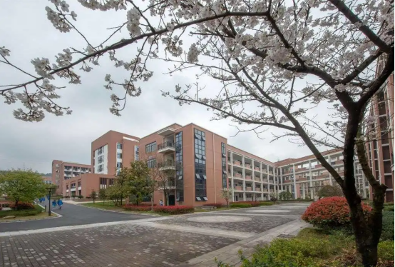 湖南垃圾桶 湖南垃圾桶