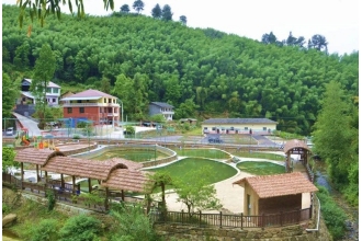 重慶七星鎮(zhèn)采購美天木質垃圾桶