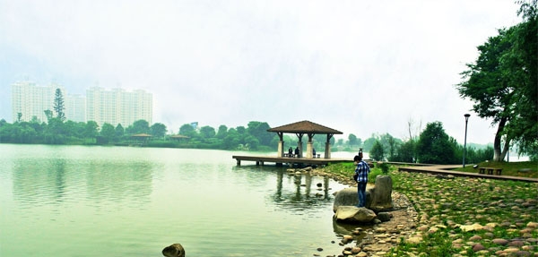 景區(qū)垃圾桶去哪里采購(gòu)？